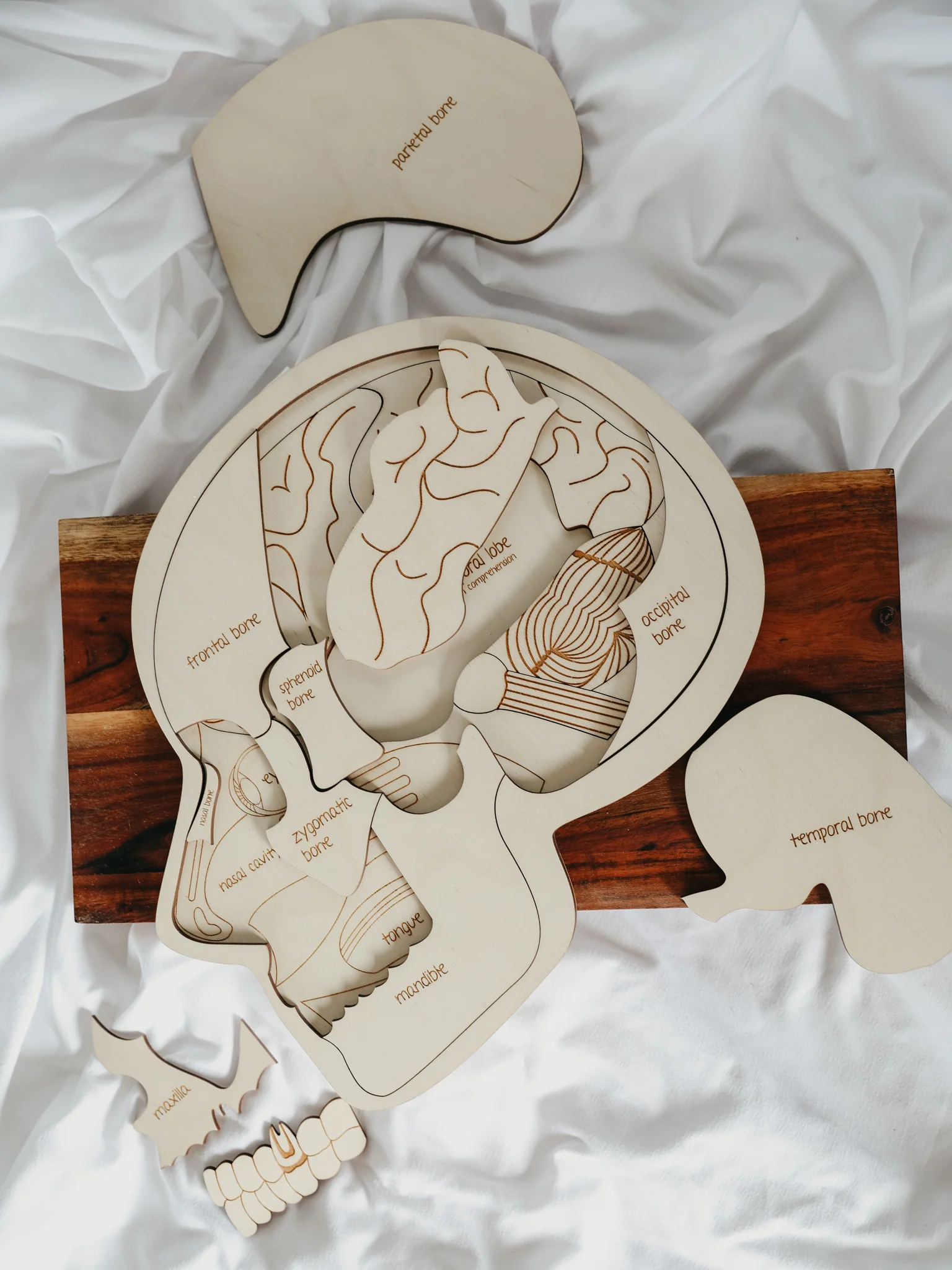Use Your Head Wooden Puzzle - Image 6