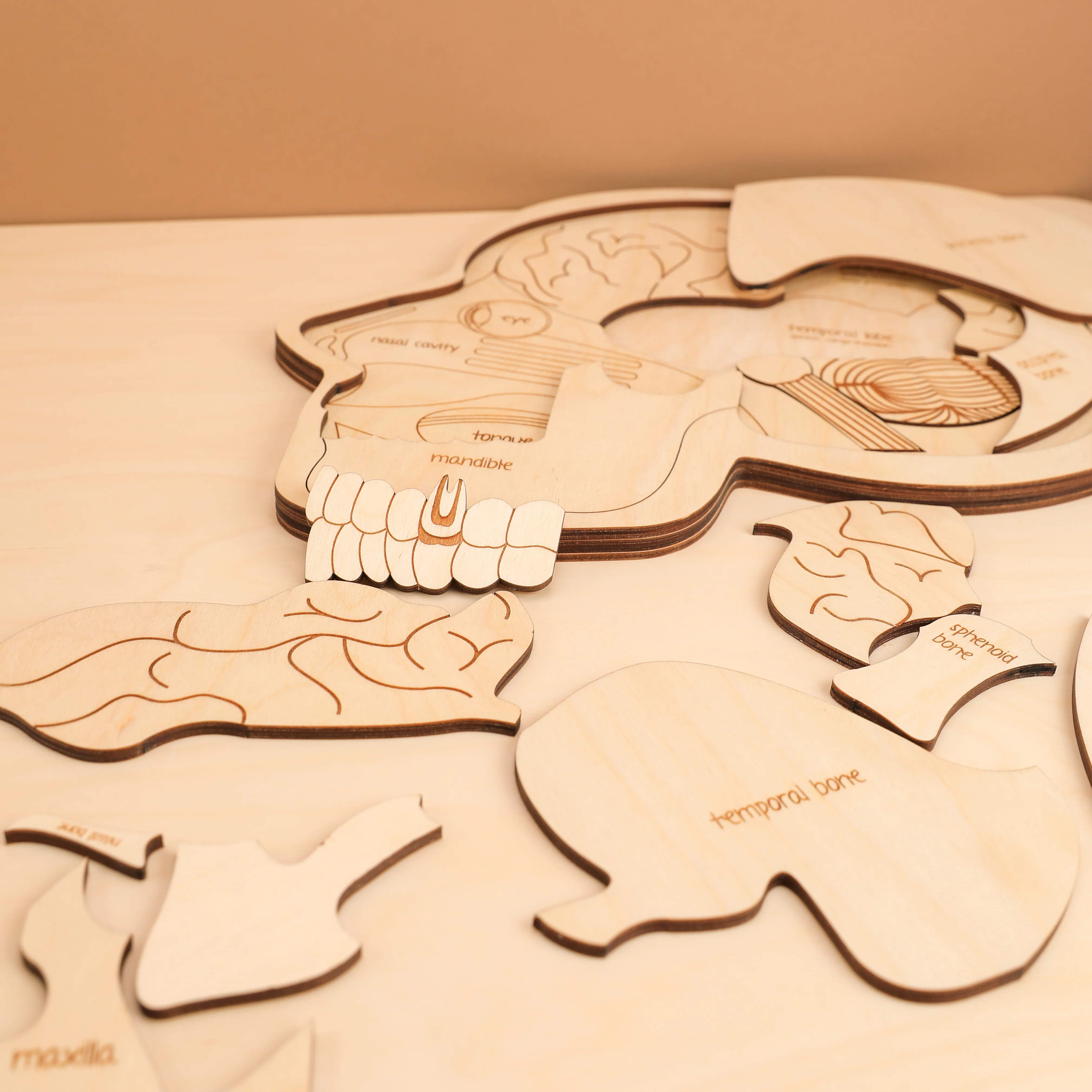 Use Your Head Wooden Puzzle - Image 7