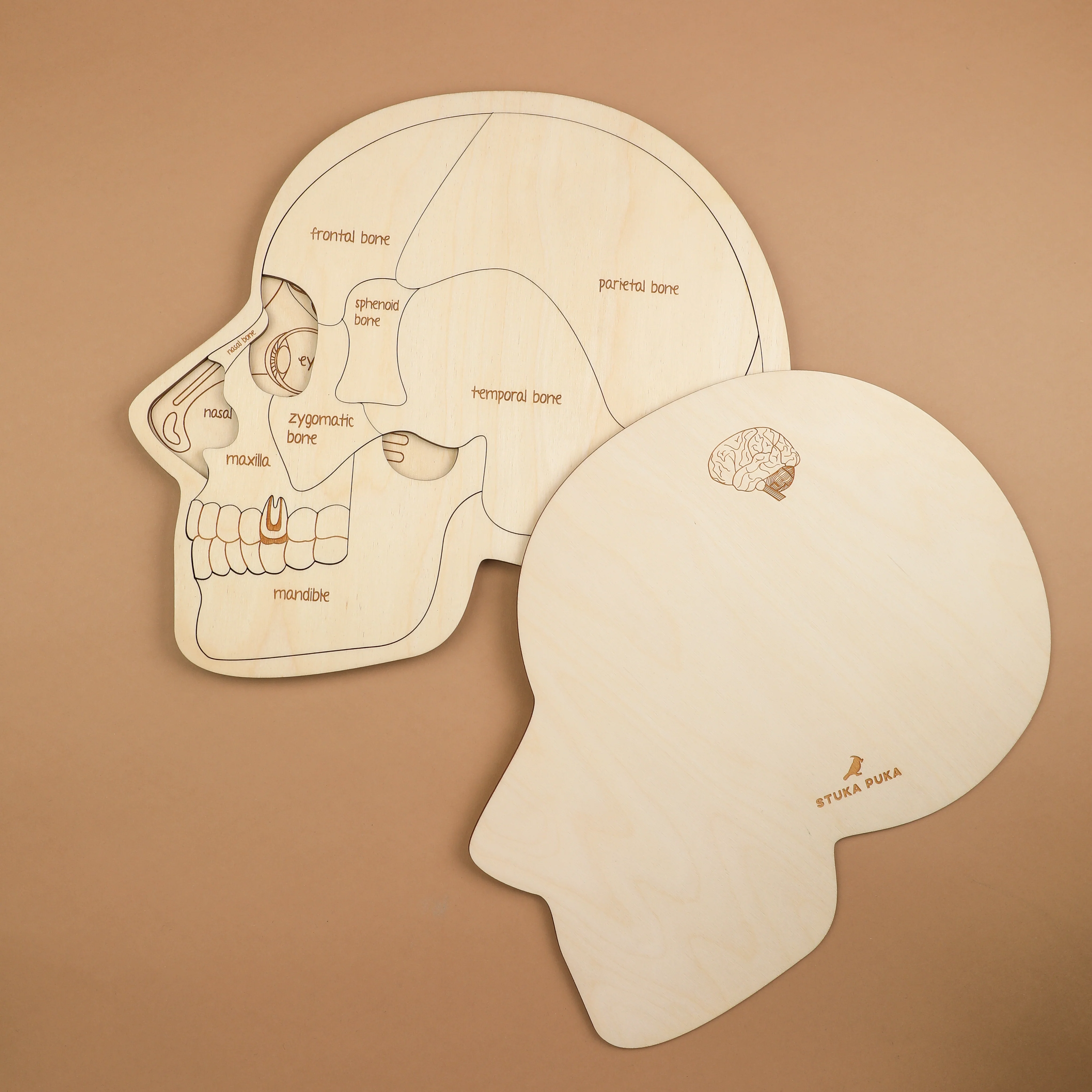Use Your Head Wooden Puzzle - Image 8