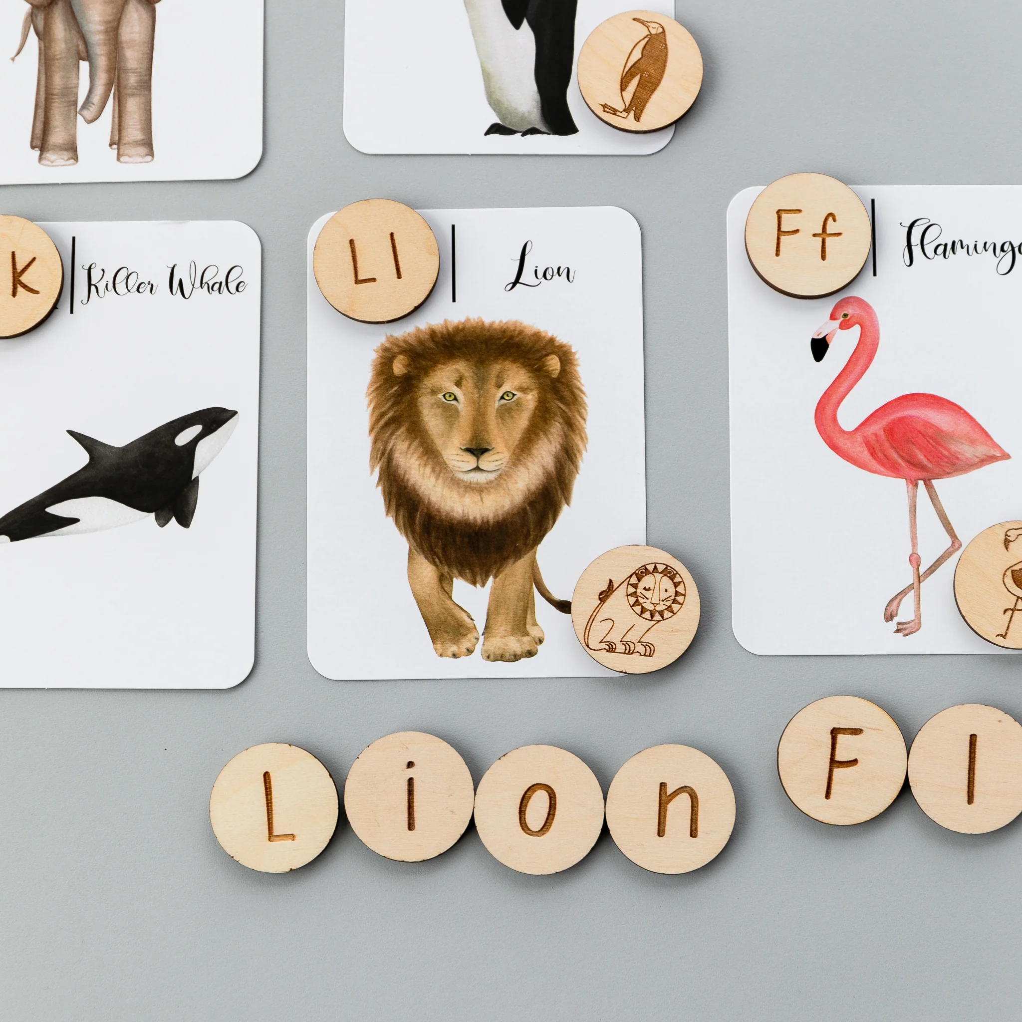 Wooden Alphabet Coins - Image 10
