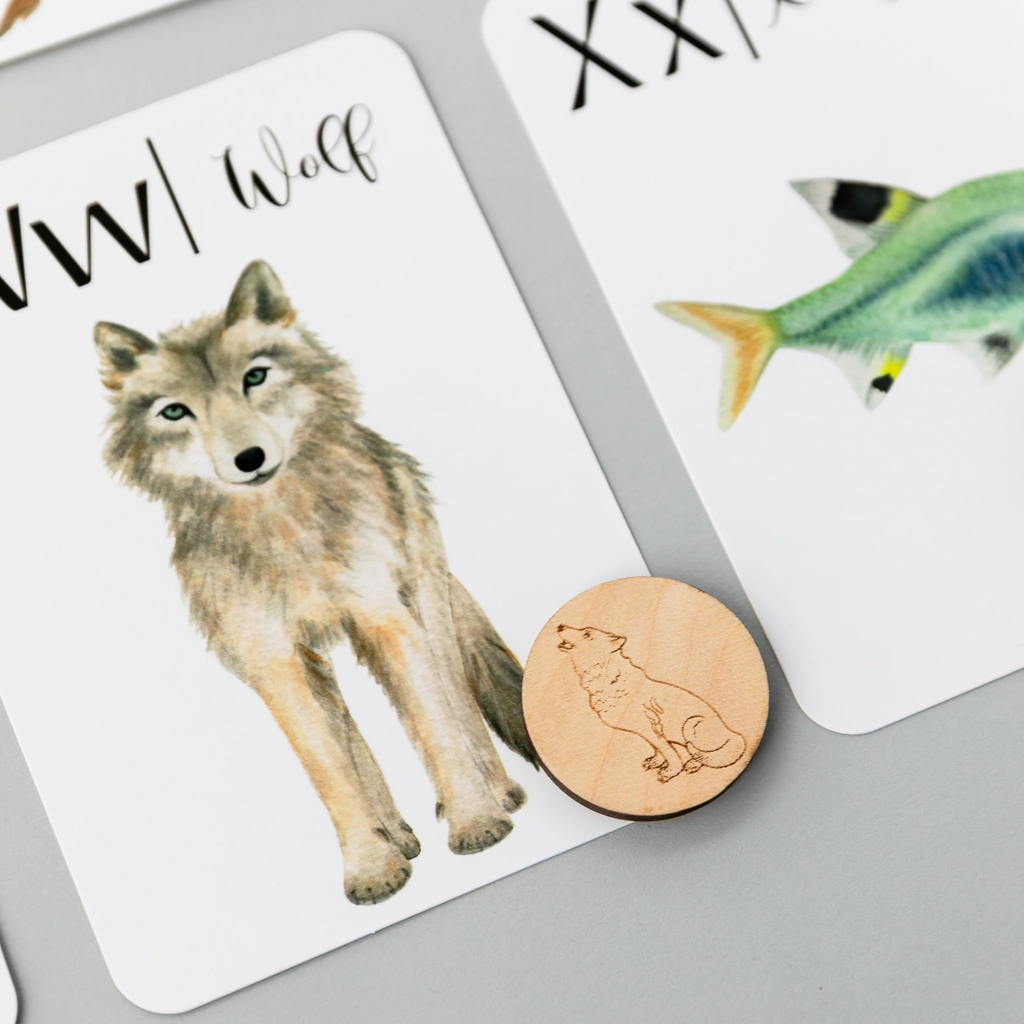 Wooden Animal Alphabet Coins - Image 11