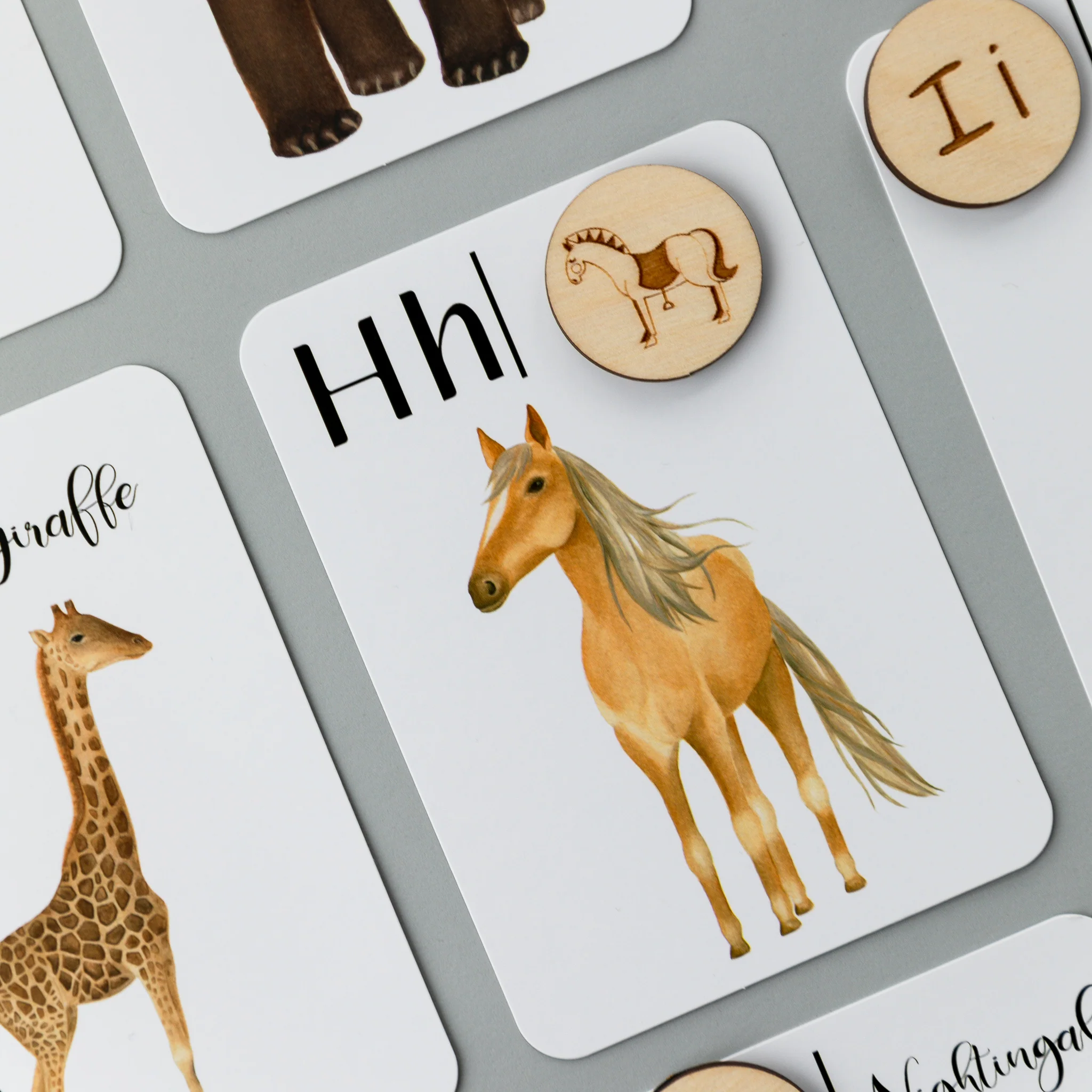 Wooden Animal Alphabet Coins - Image 12