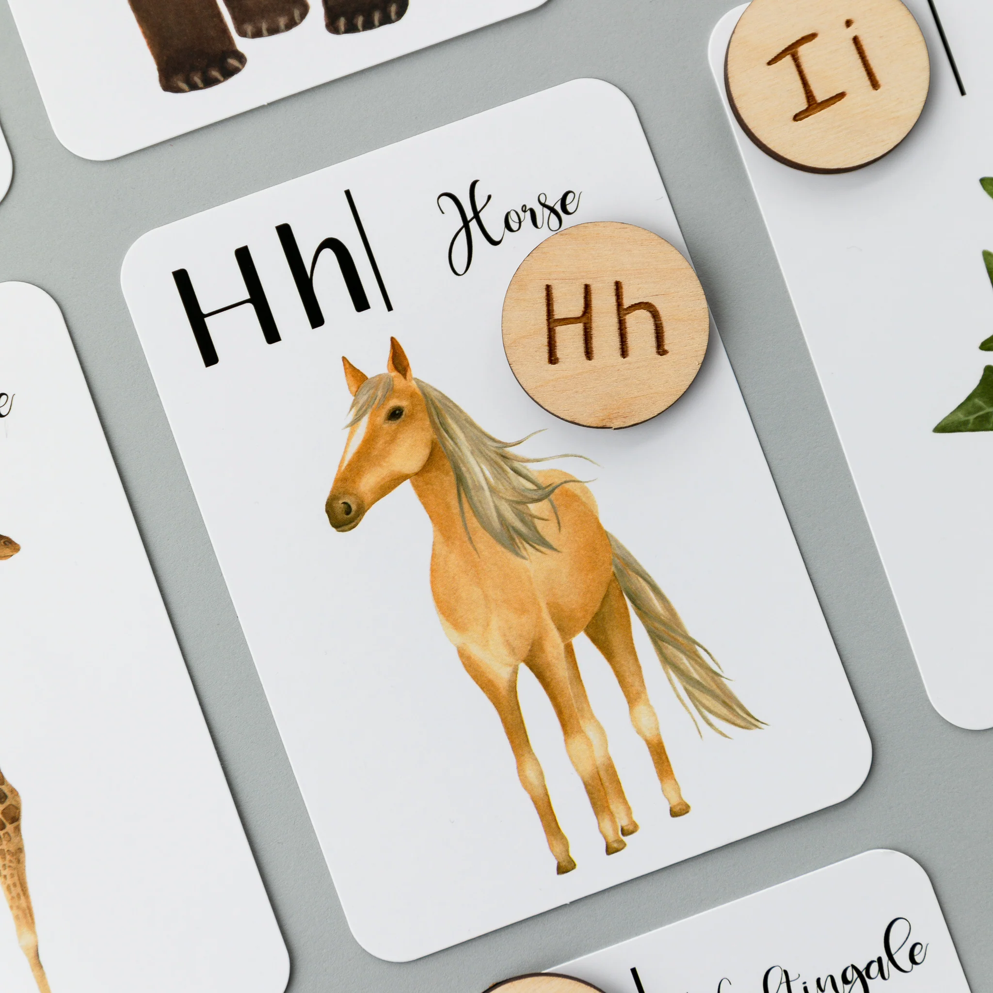Wooden Animal Alphabet Coins - Image 13