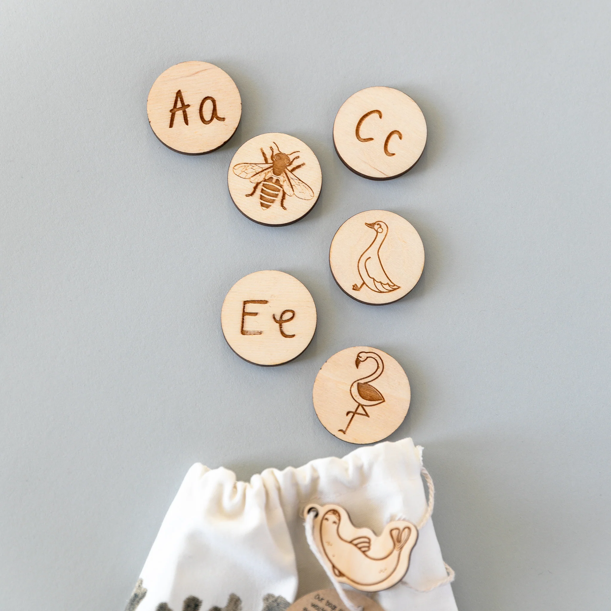 Wooden Animal Alphabet Coins - Image 14