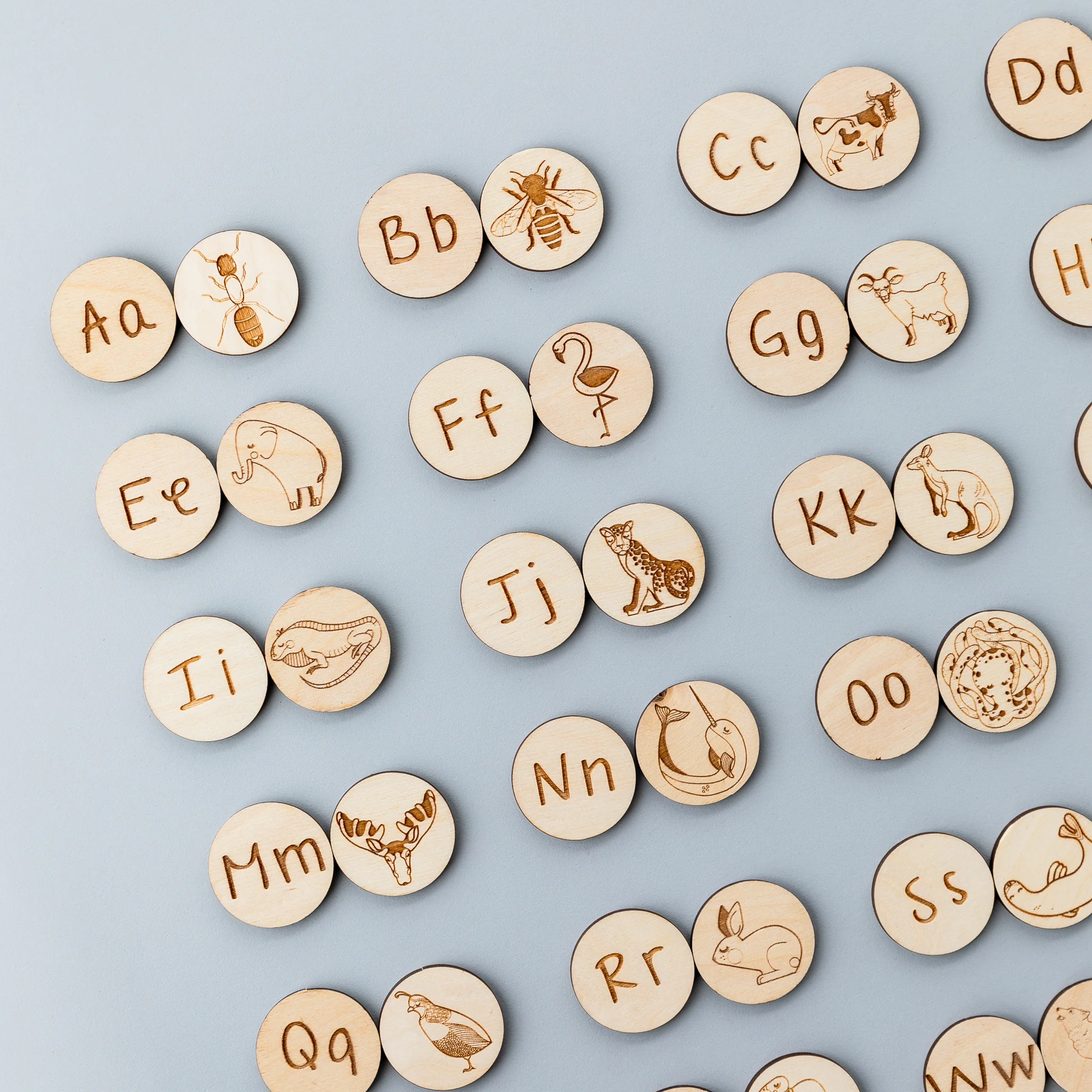 Wooden Animal Alphabet Coins - Image 3