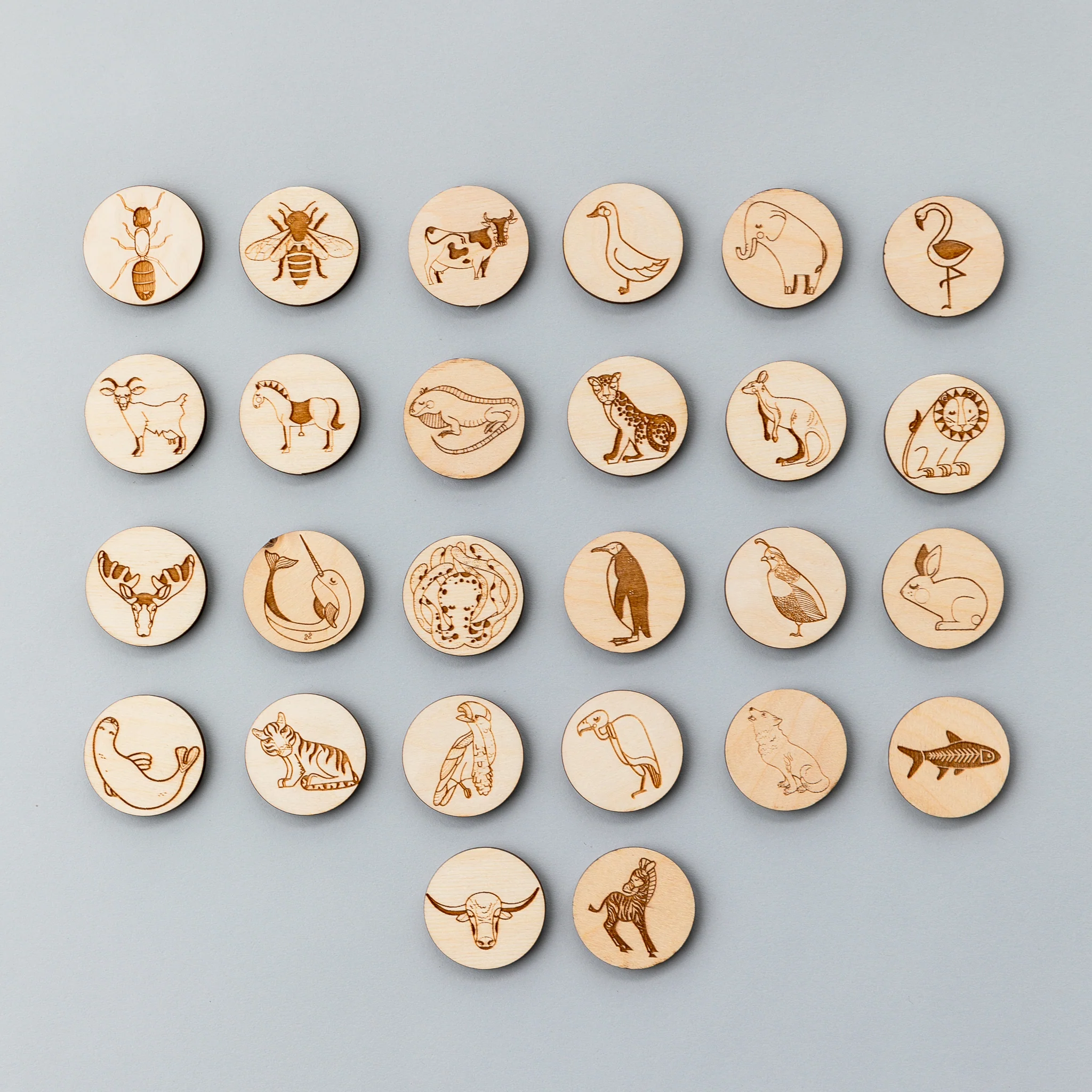 Wooden Animal Alphabet Coins - Image 4