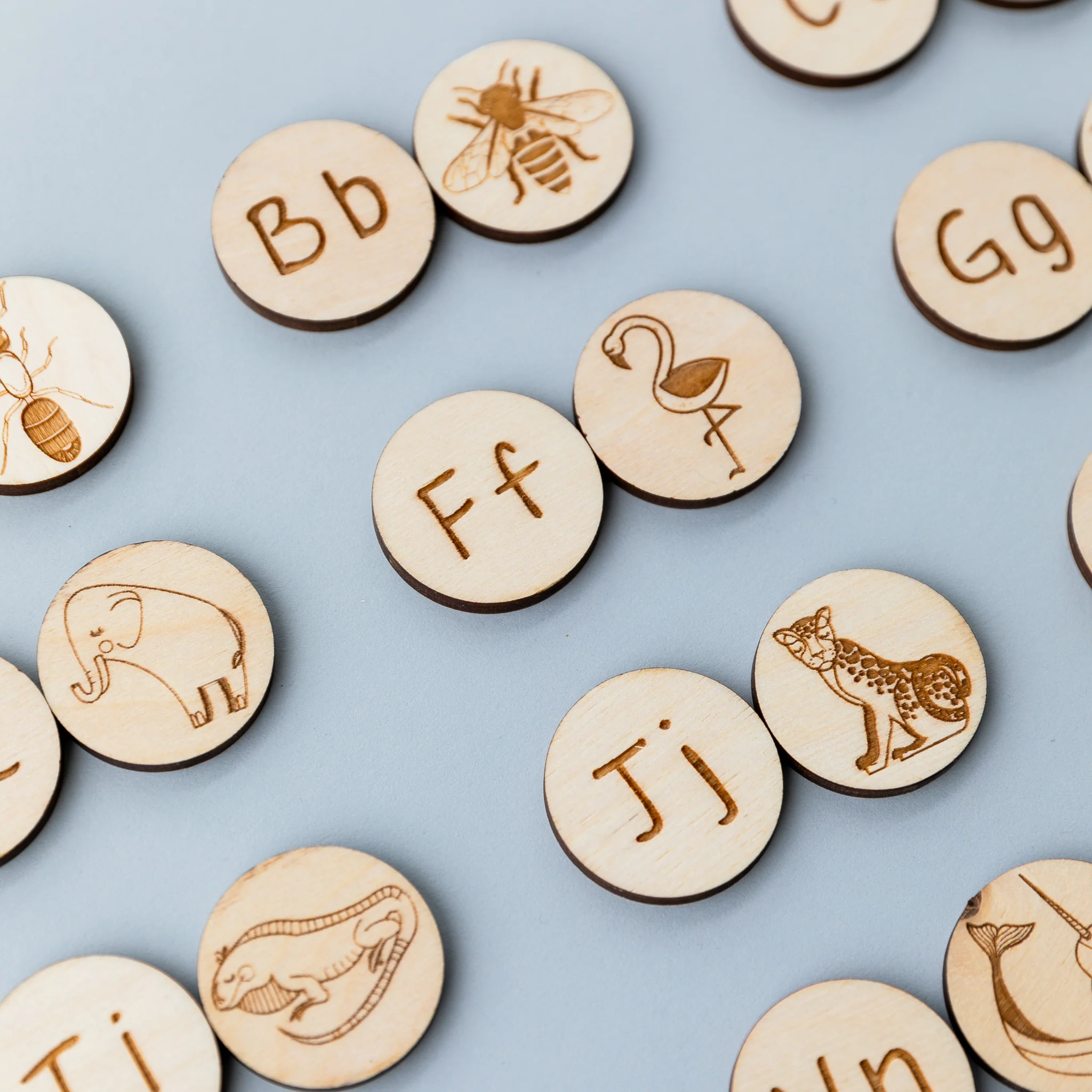 Wooden Animal Alphabet Coins - Image 5