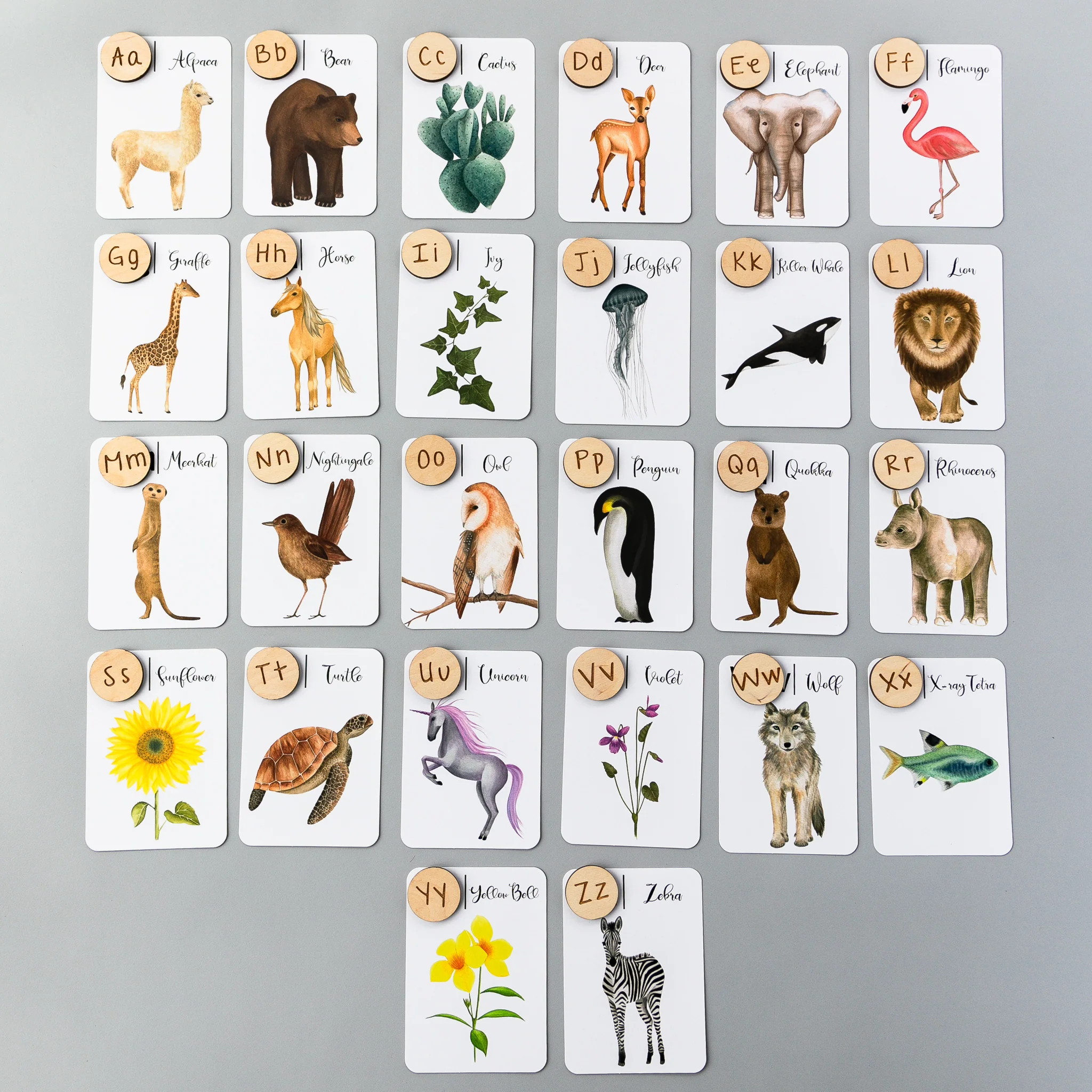 Wooden Animal Alphabet Coins - Image 6