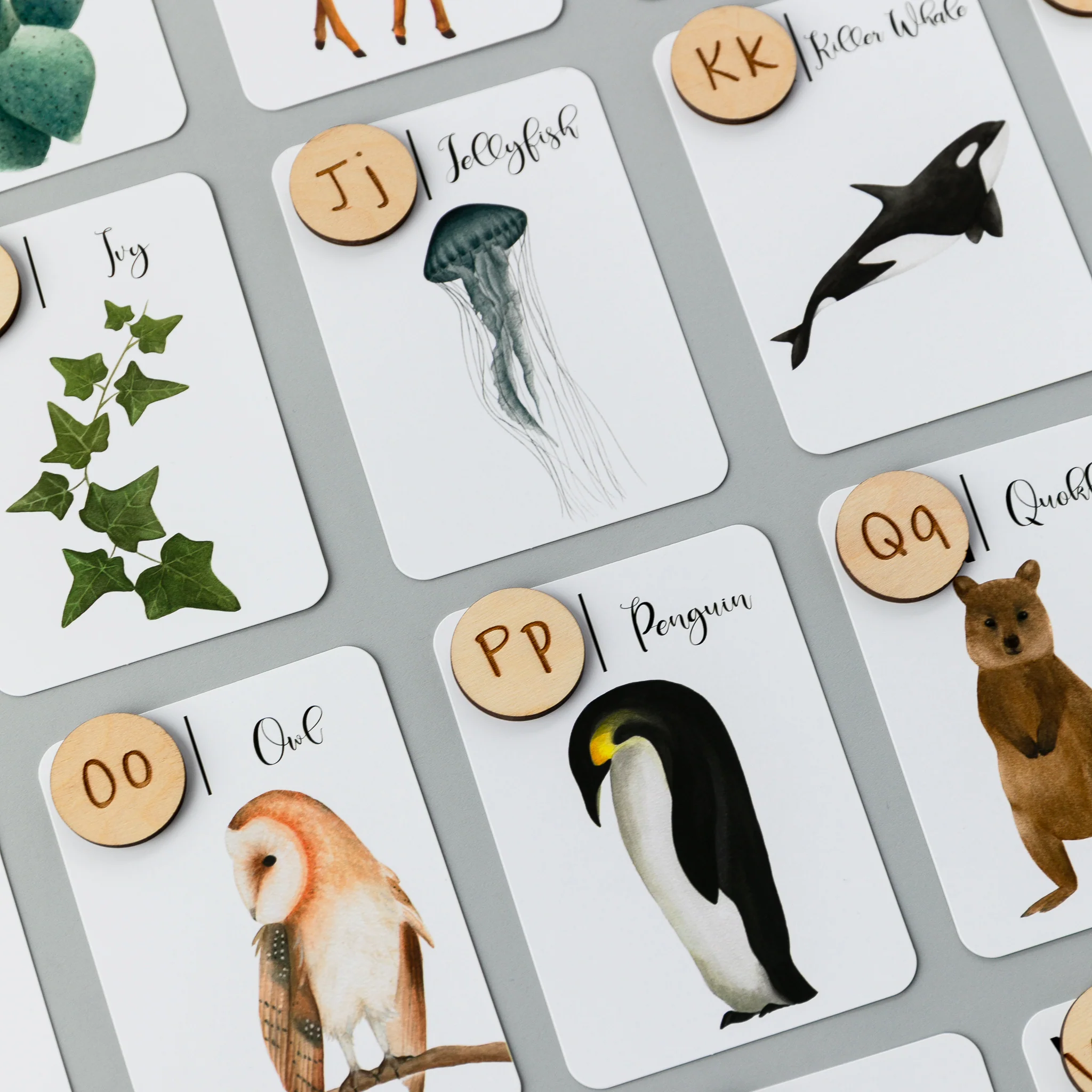 Wooden Animal Alphabet Coins - Image 7