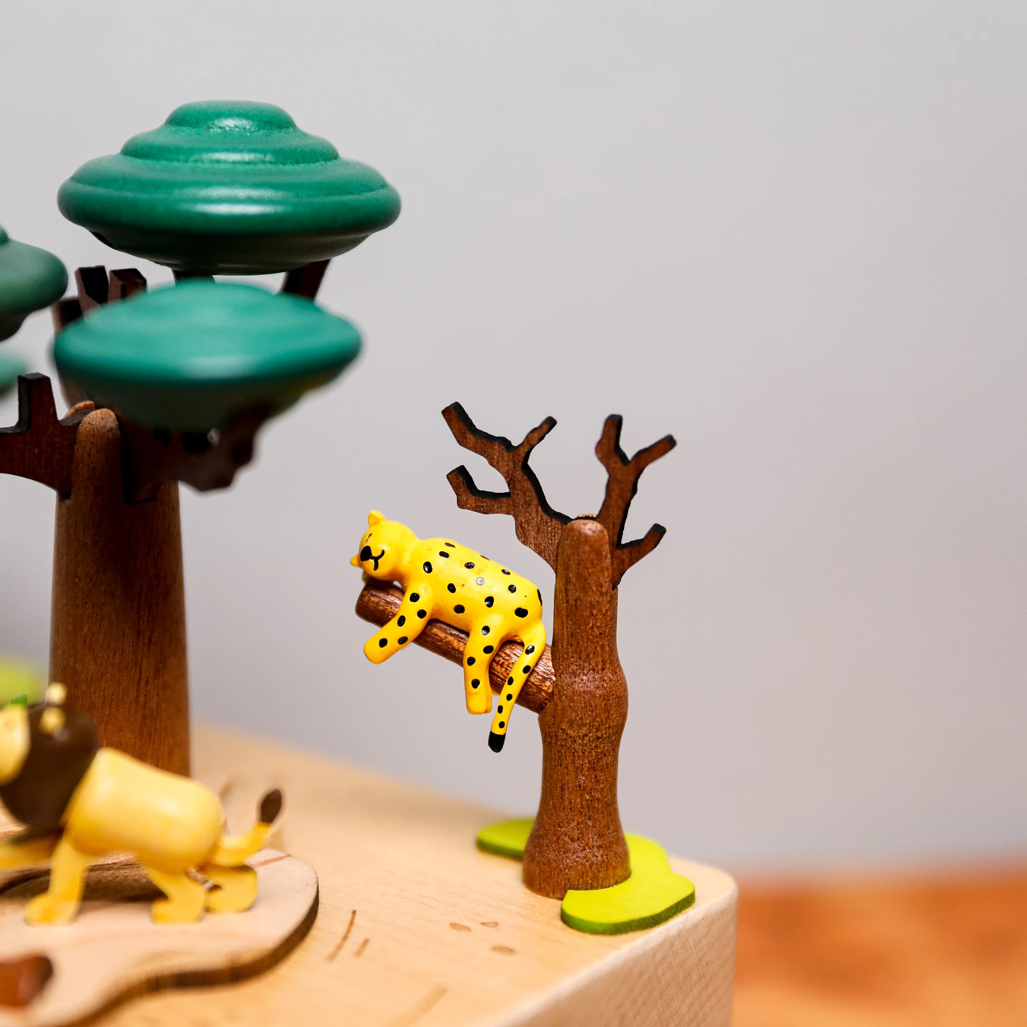 Wooden Music Box - Safari - Image 4