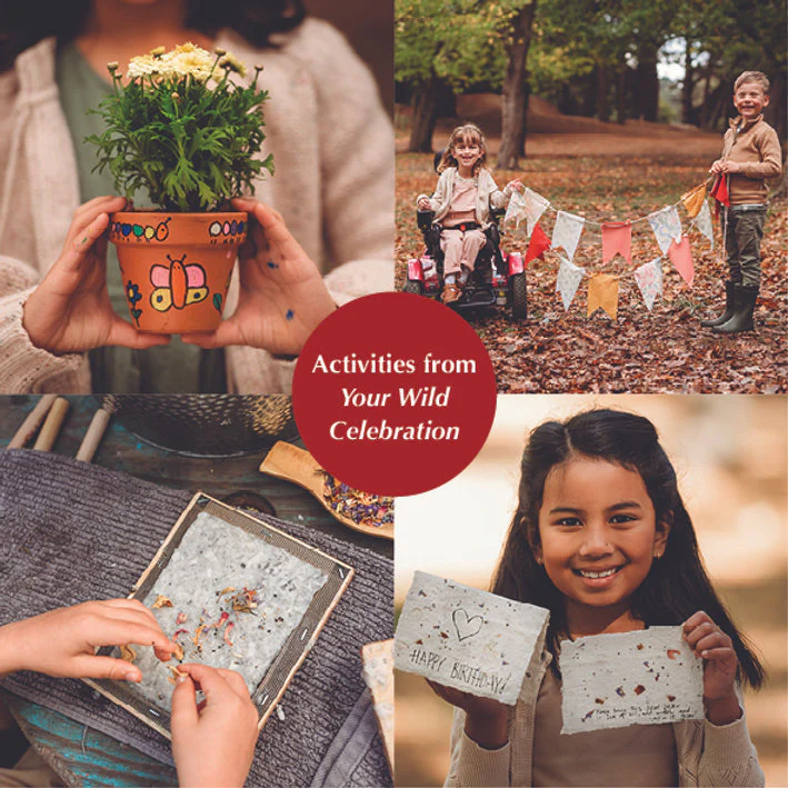 Your Wild Celebration Book - Image 15