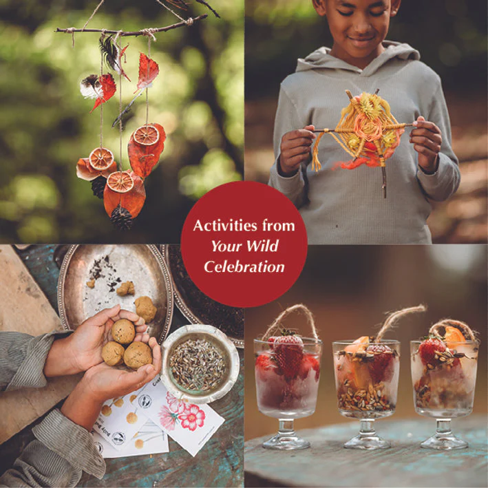 Your Wild Celebration Book - Image 17