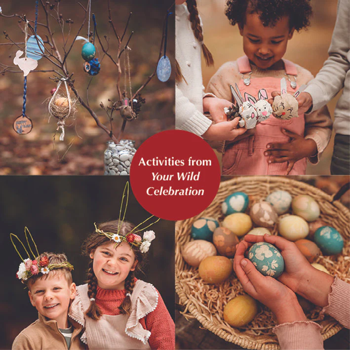 Your Wild Celebration Book - Image 6